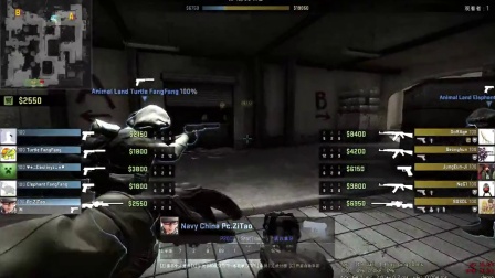 马刺主帅 马刺主帅