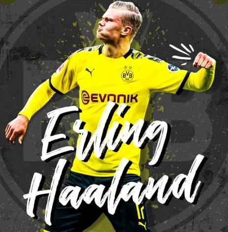 这份荣誉的 这份荣誉的